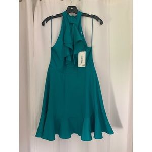 Likely Raleigh Dress
